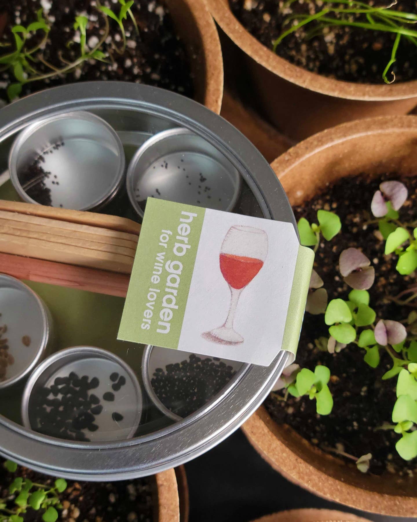 Pocket Garden- Herb Garden for Wine Lovers