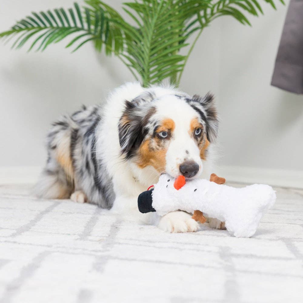Snowman Bone For Dogs: One Size