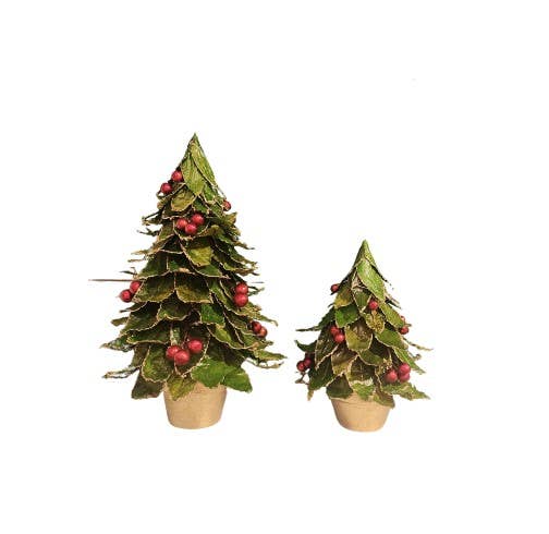 Potted Pointed Leaf Cone Tree w/Berries : 12"