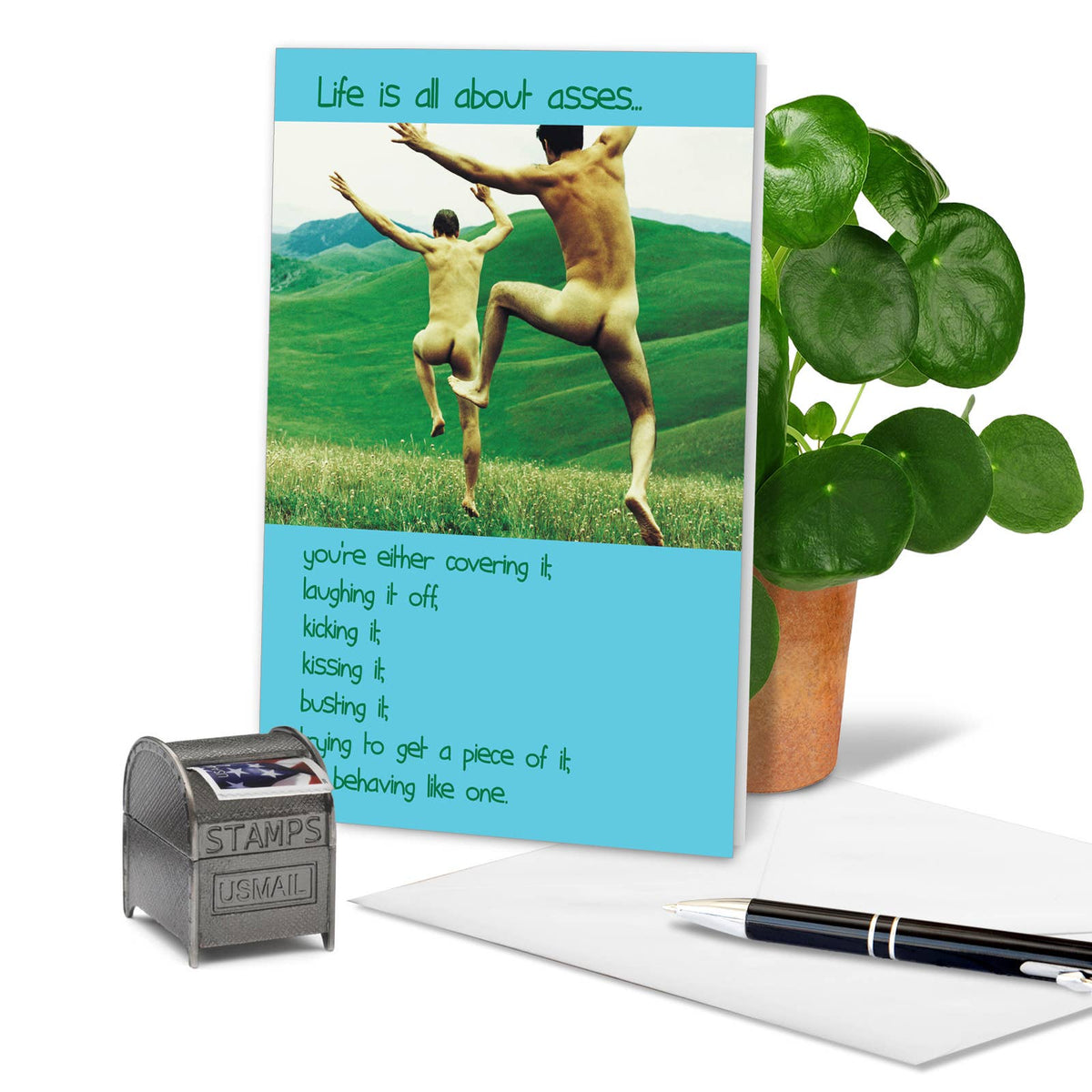 All About Asses Funny Birthday Greeting Card