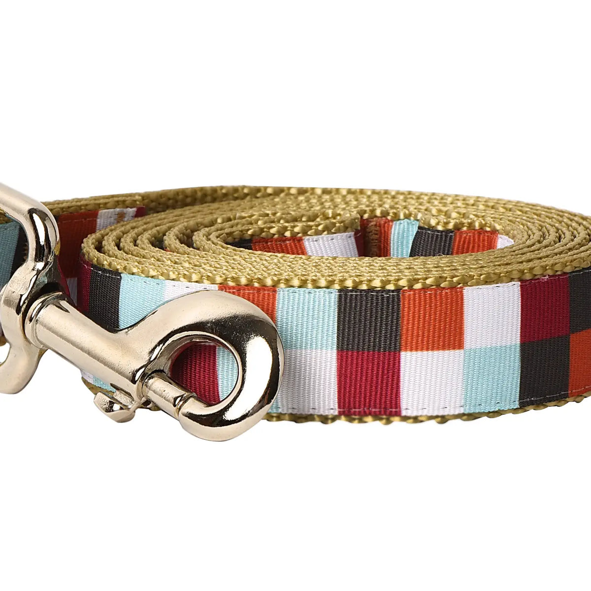 Hula Hoop Dog Leash