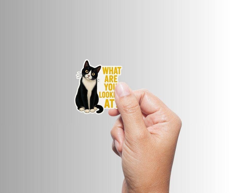 Funny Cat Sticker "What Are You Looking At"