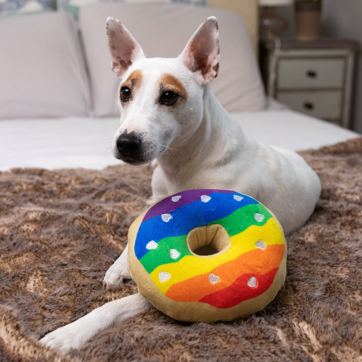 Pride Donut For Dogs: SM