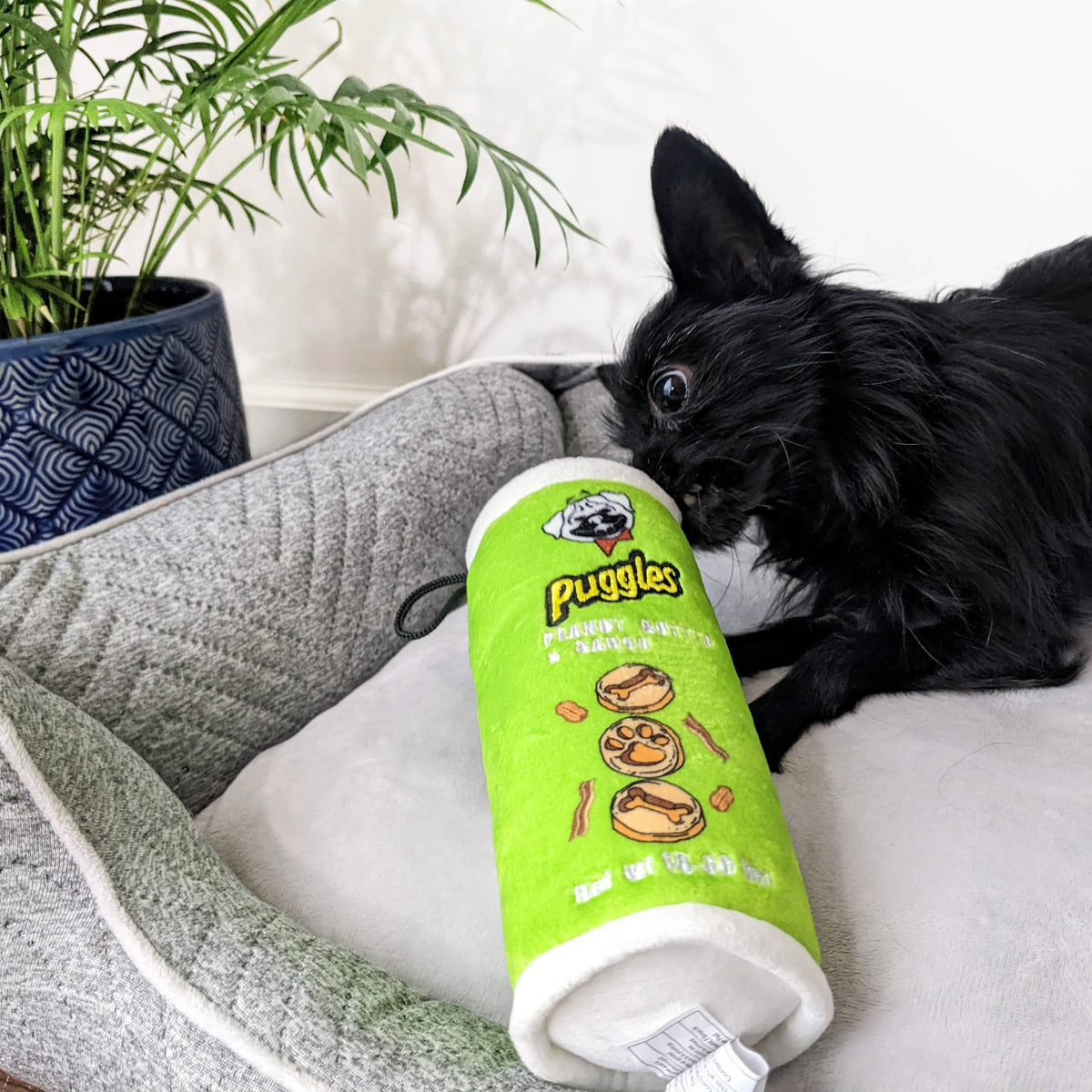 Puggles Can For Dogs: Small