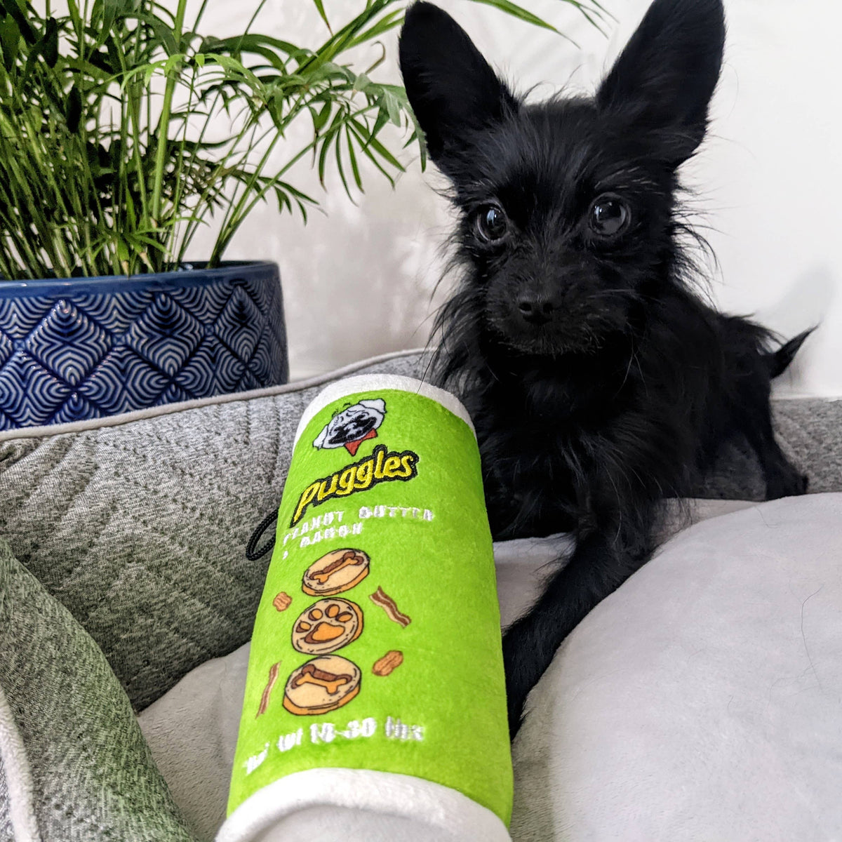 Puggles Can For Dogs: Small