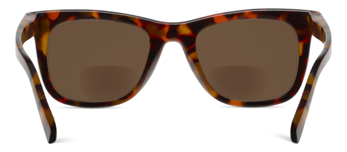 Harbor (Sunglasses)