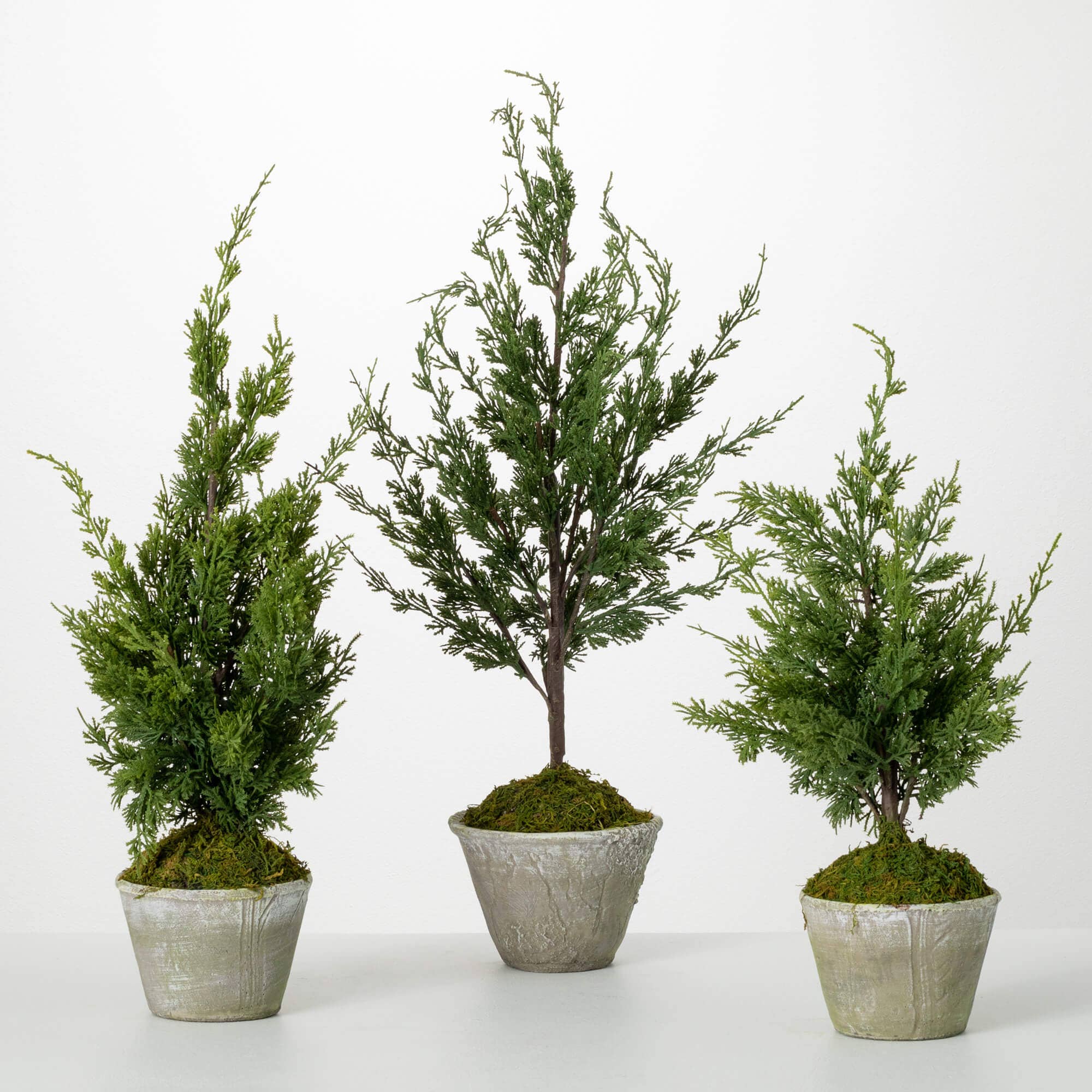 FAUX DWARF CEDAR TREES  3 sizes