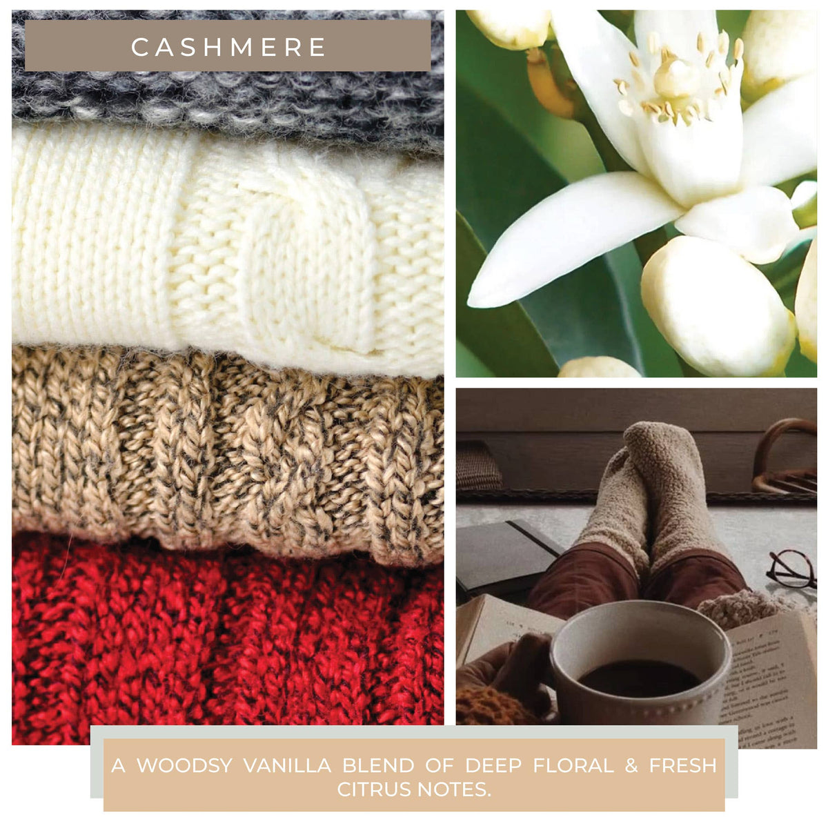 Cashmere KOTL Papa Candle (34oz.) – Cashmere