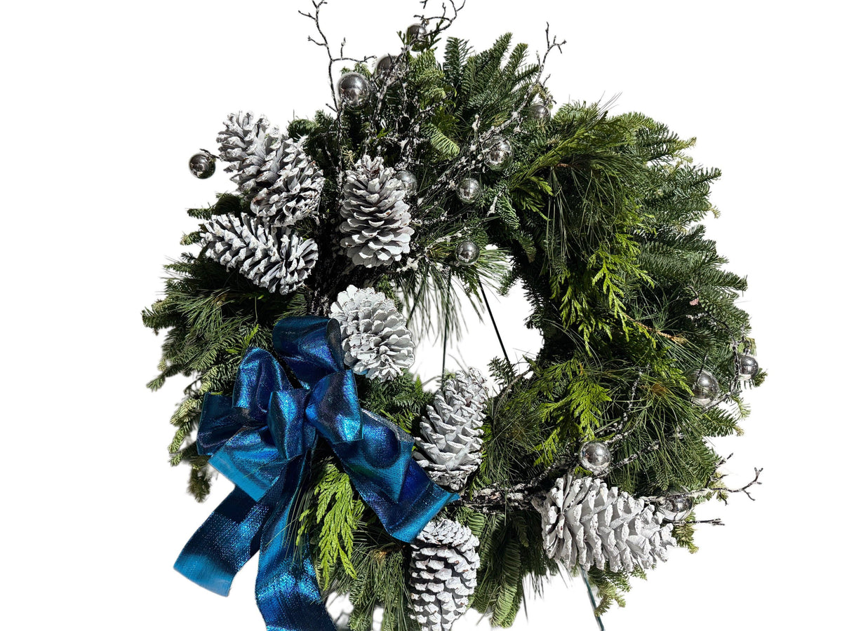 All-White Pine Cones....White pine cones Ponderosa