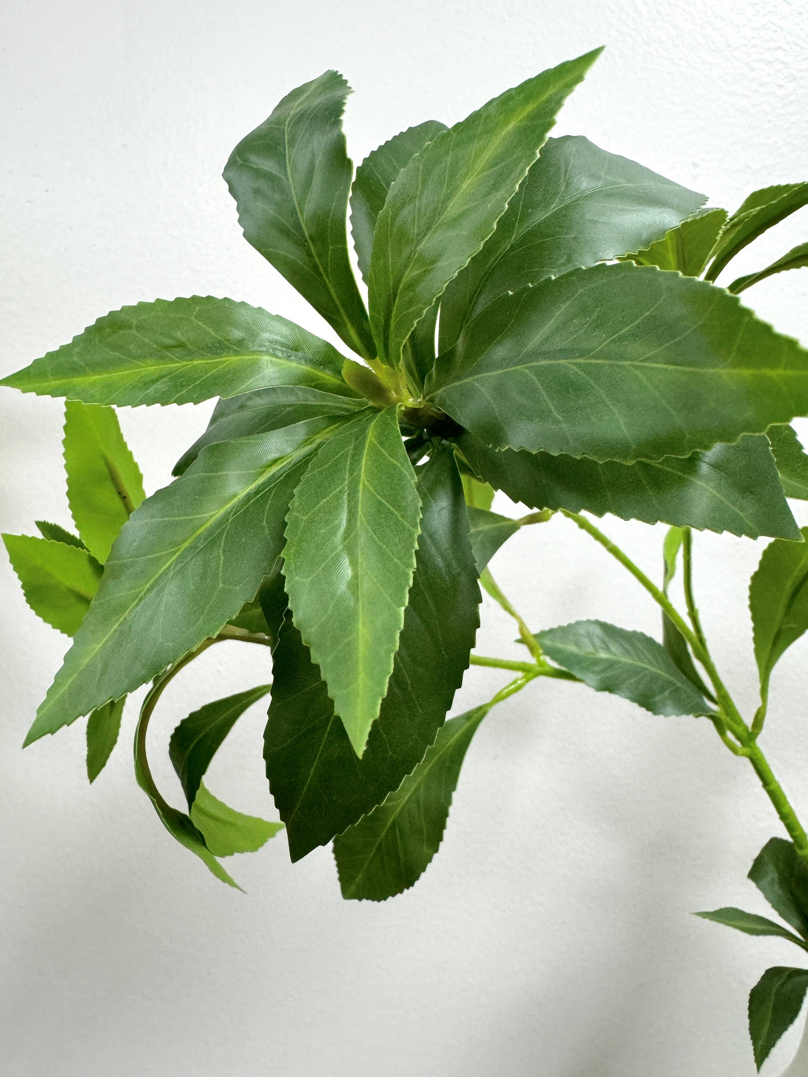 32"Lifelike Real Touch Pieris Japonica Stem Lush Green