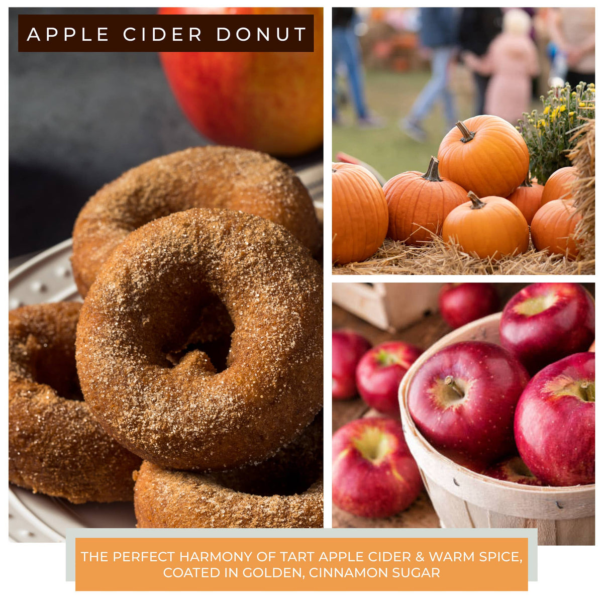 Apple Cider Donut KOTL Papa Candle (34oz.) – Apple Cider Donut