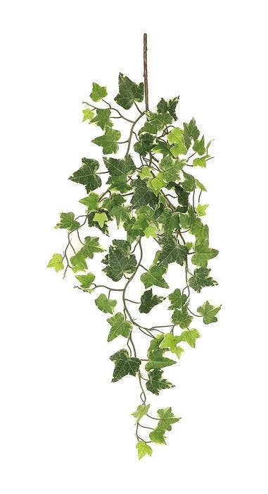 English Ivy Vine, 33", 88 Lv., Variegated