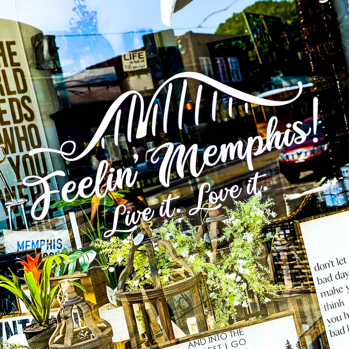 South Main Street (Memphis) Coasters