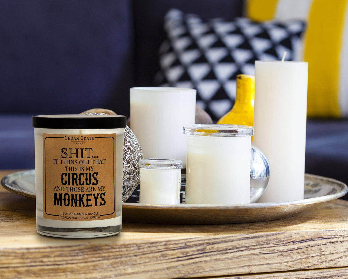 Shit… It Turns Out This Is My Circus Soy Candle