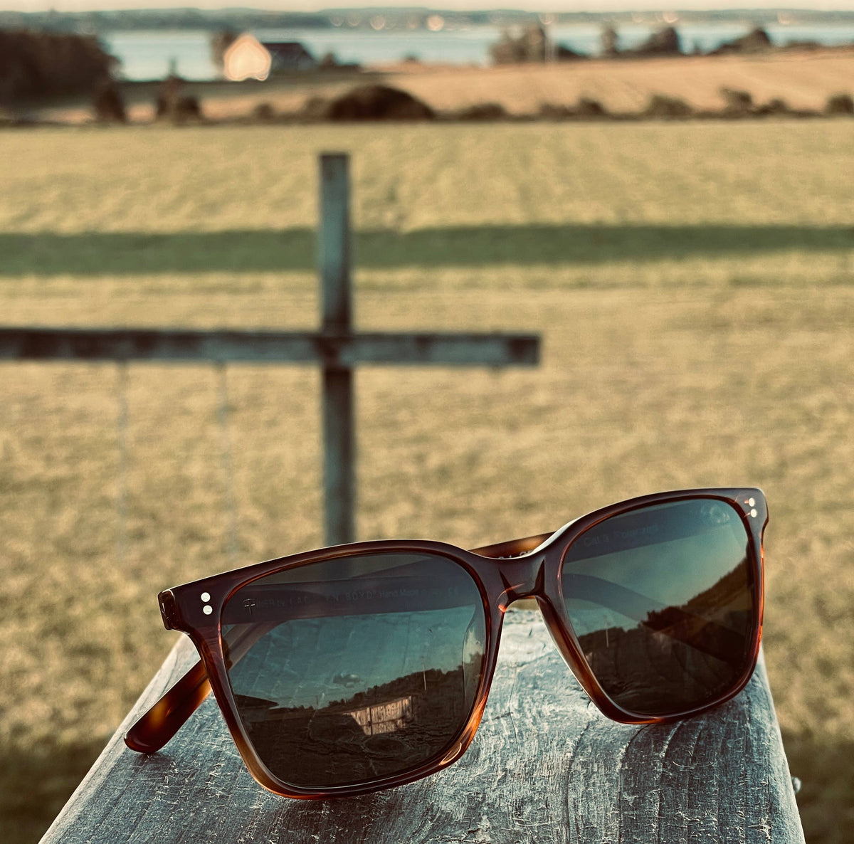 Tanner Unisex Sunglasses, Mazzucchelli Acetate Frame: Black/Brown