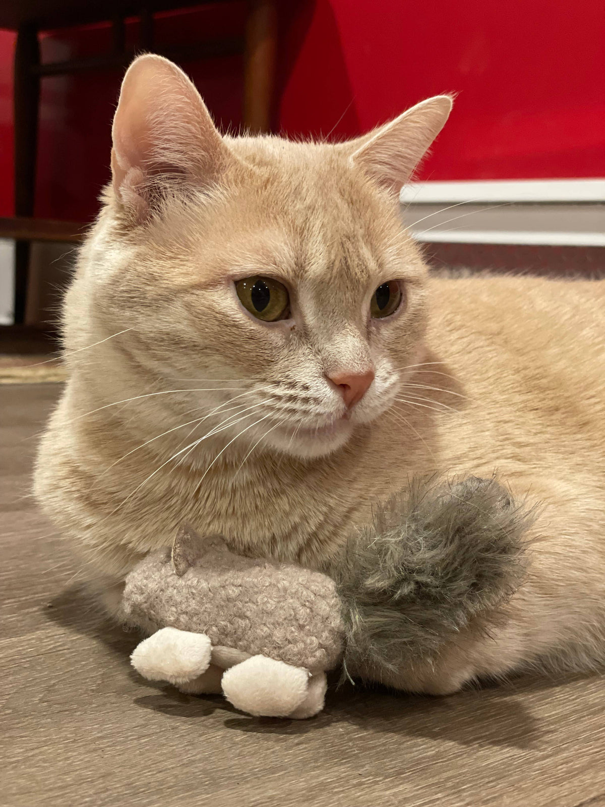 HuggleKats® Wee Fellar Squirrelie Cat Toy