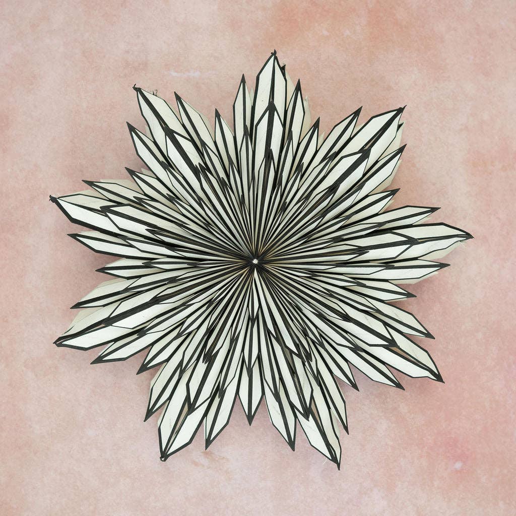 Giant Gazania Black &amp; White 3D Paper Wall Decoration - 70cm