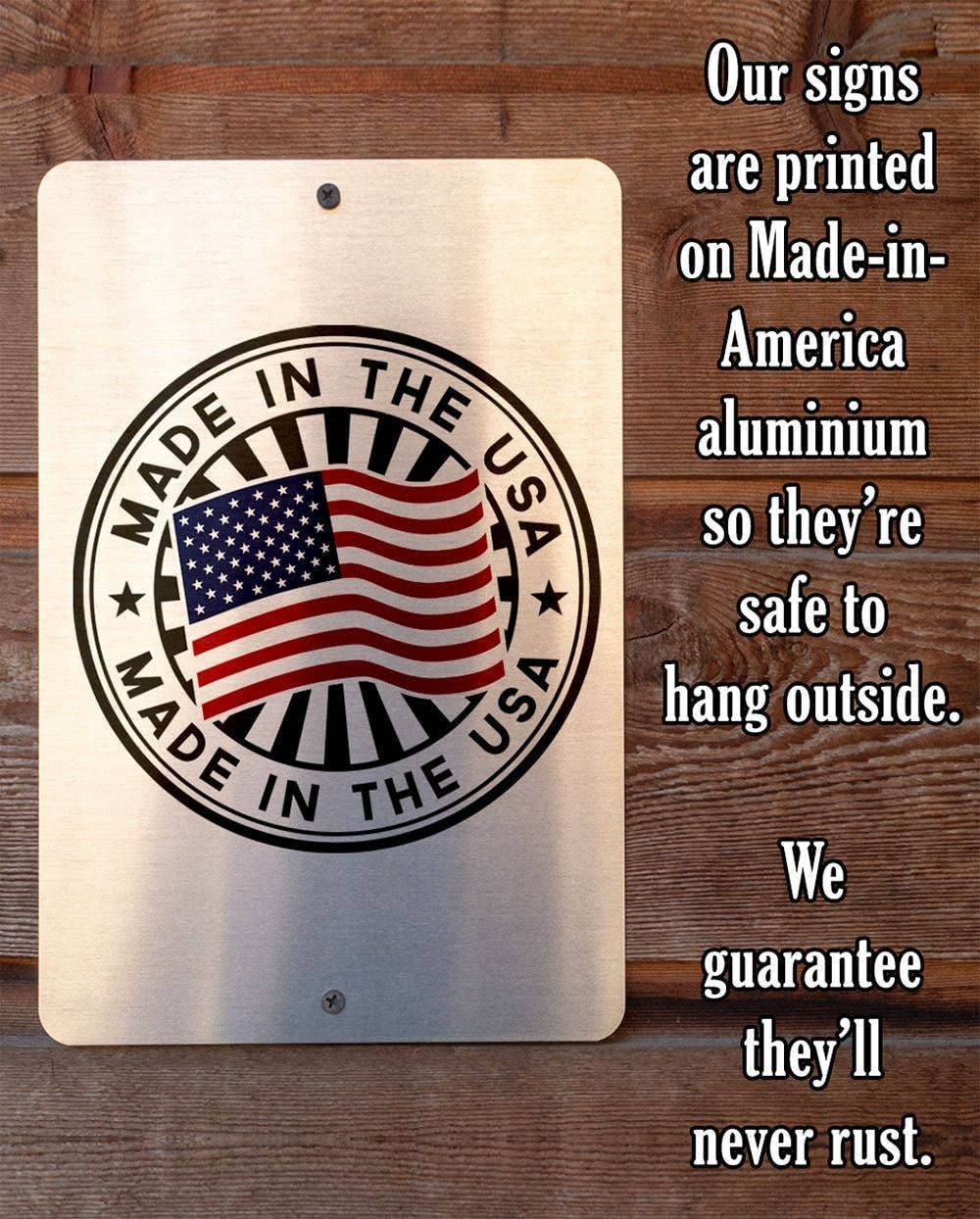 You Can Only Say WTF - Metal Sign: 8 x 12
