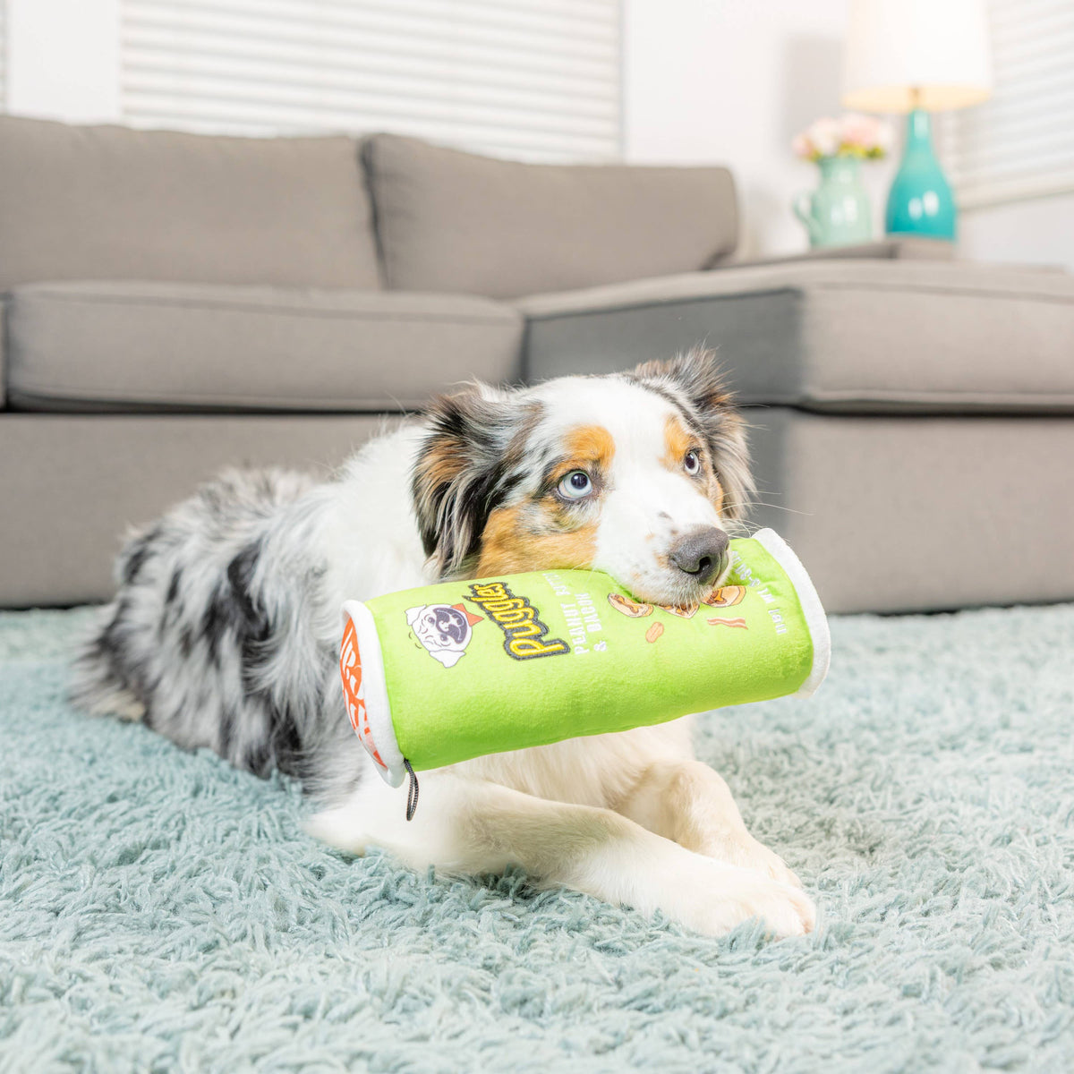 Puggles Can For Dogs: Small
