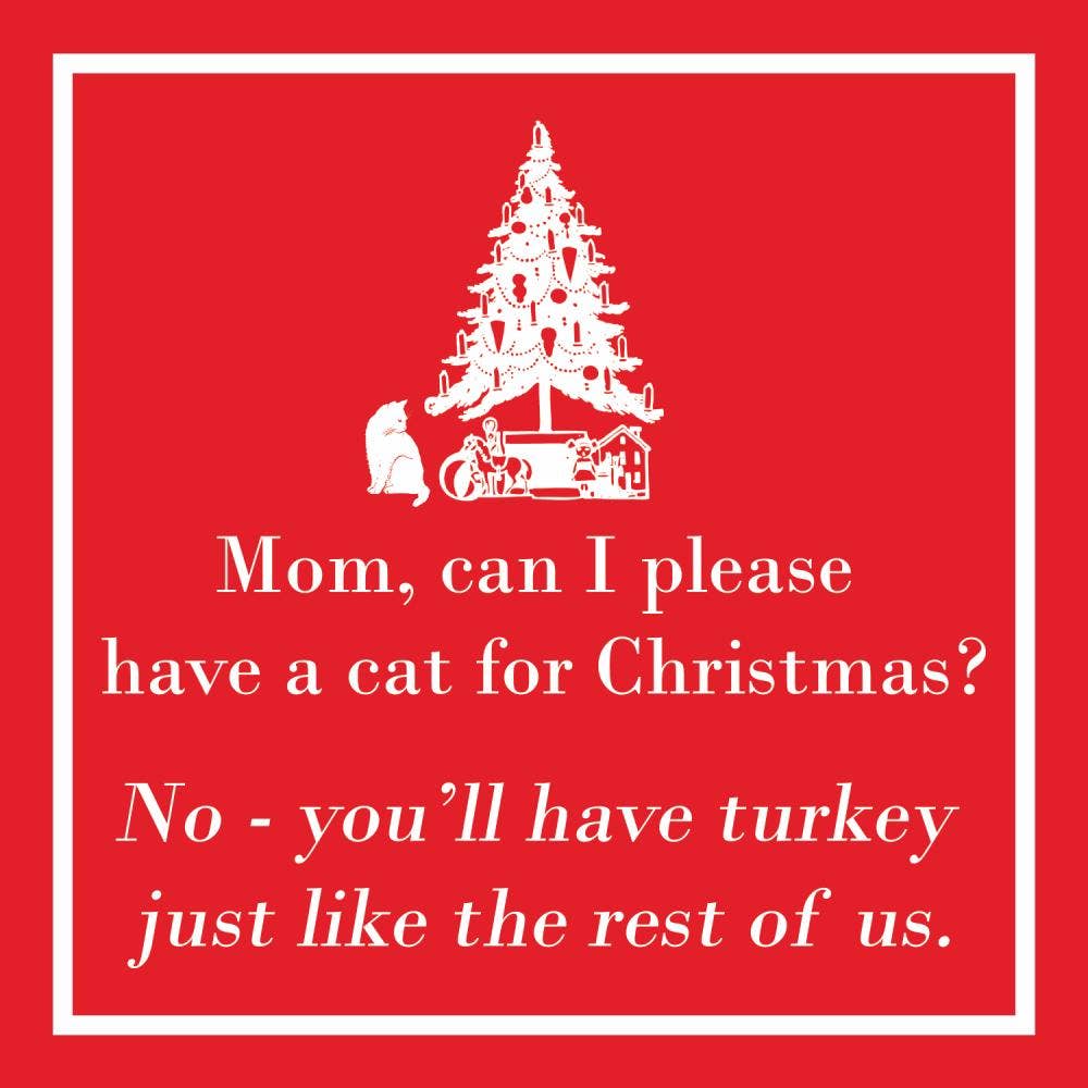 BEV-A CAT FOR CHRISTMAS?