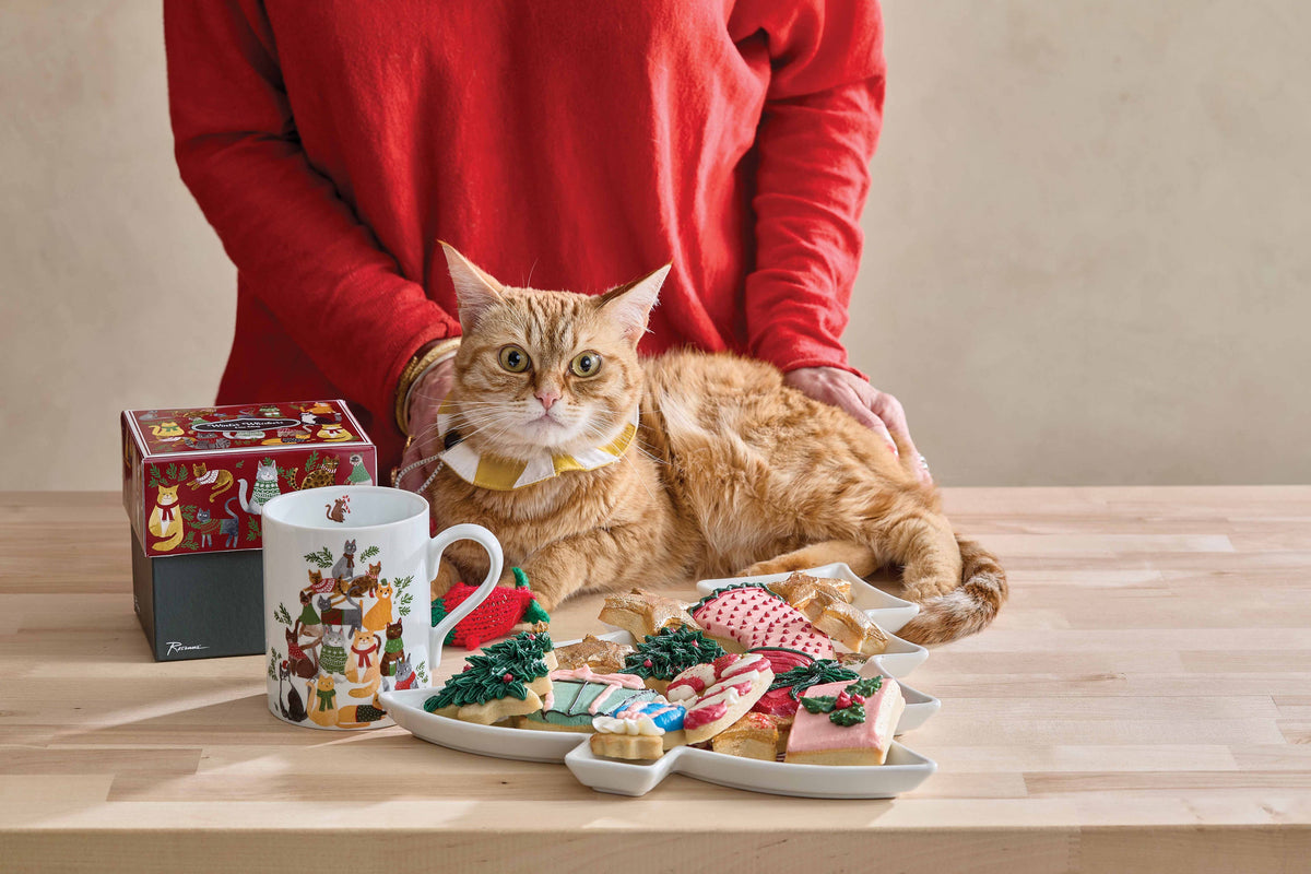Holiday Pets Winter Whiskers Mug
