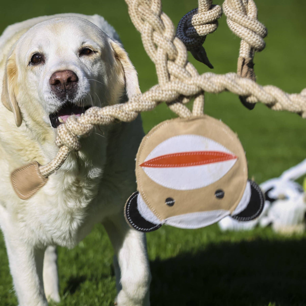 Stuey Sock Monkey Natural Rope Knottie®, L (9mm d.) Dog Toy