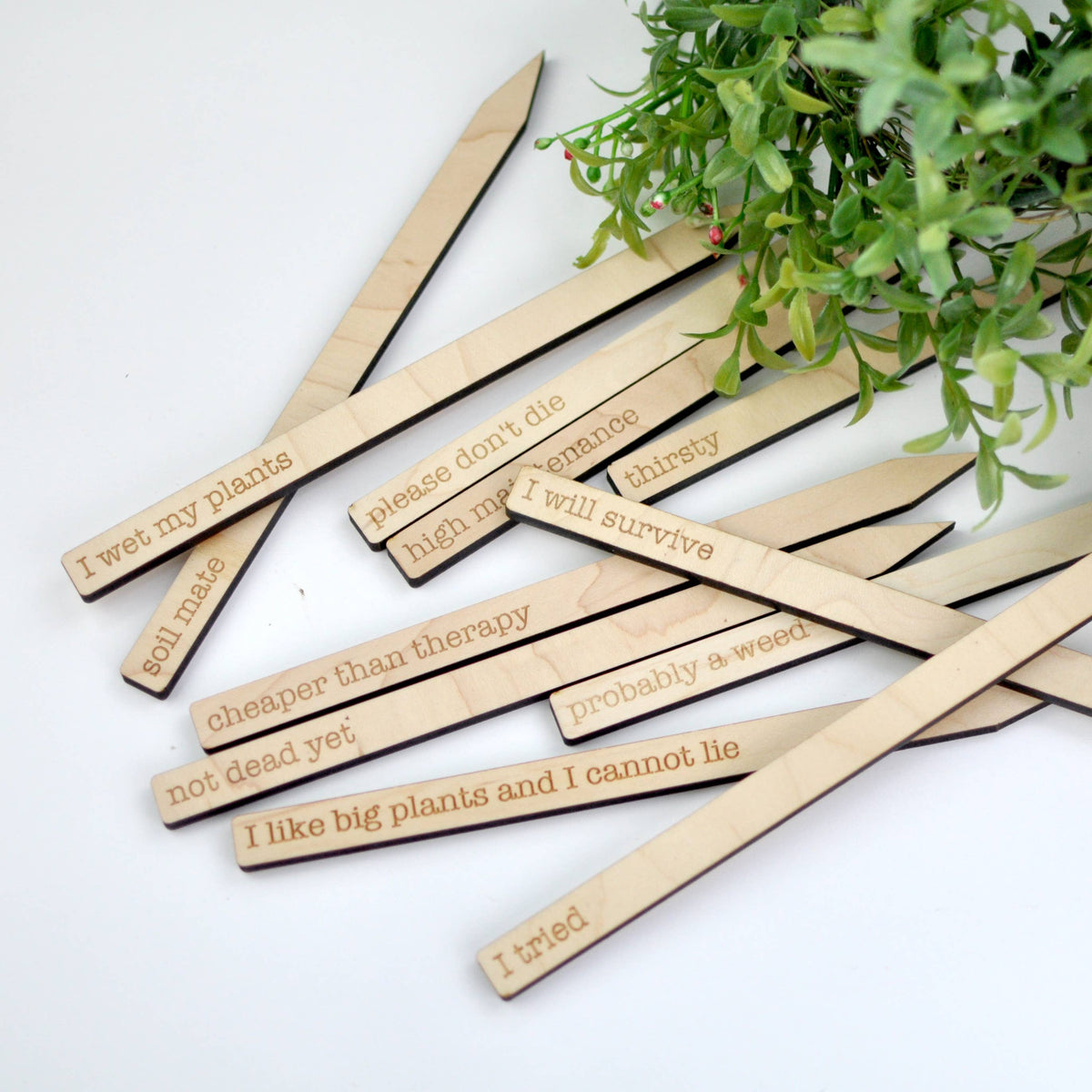 Punny Plant Markers - Spring and Summer Garden and Plants: