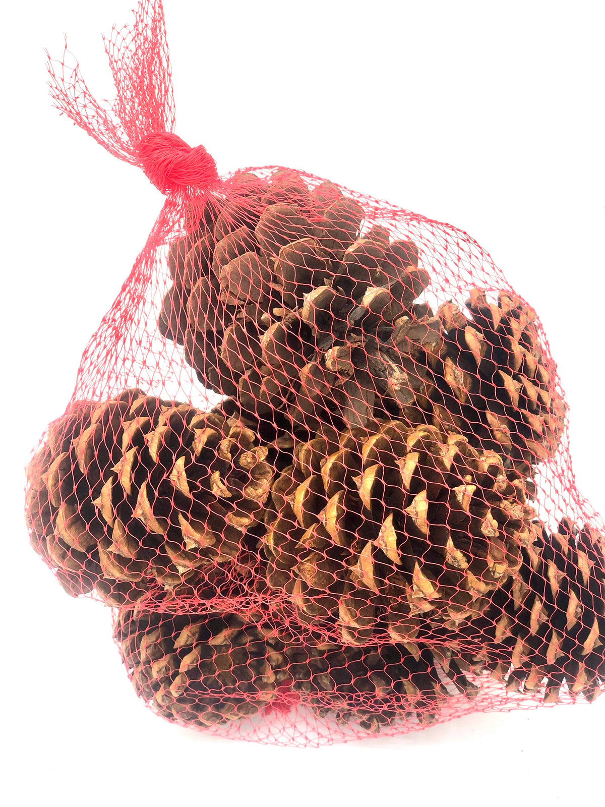 Pine cones cinnamon scented in bag