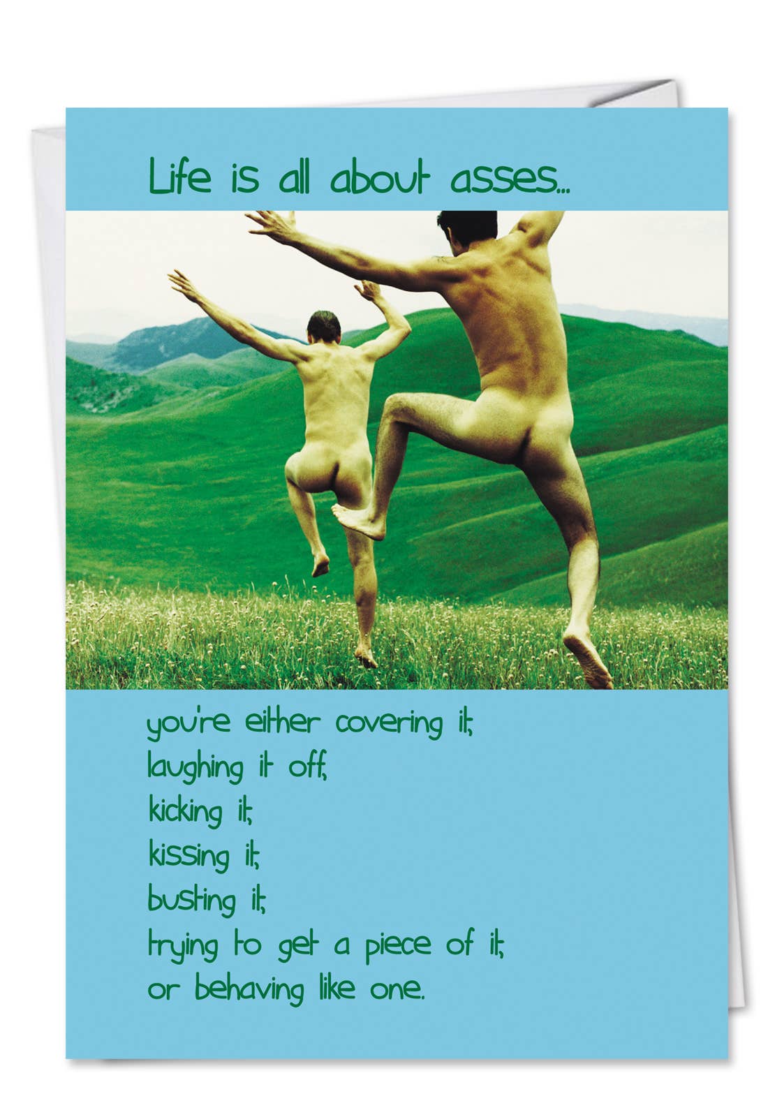 All About Asses Funny Birthday Greeting Card