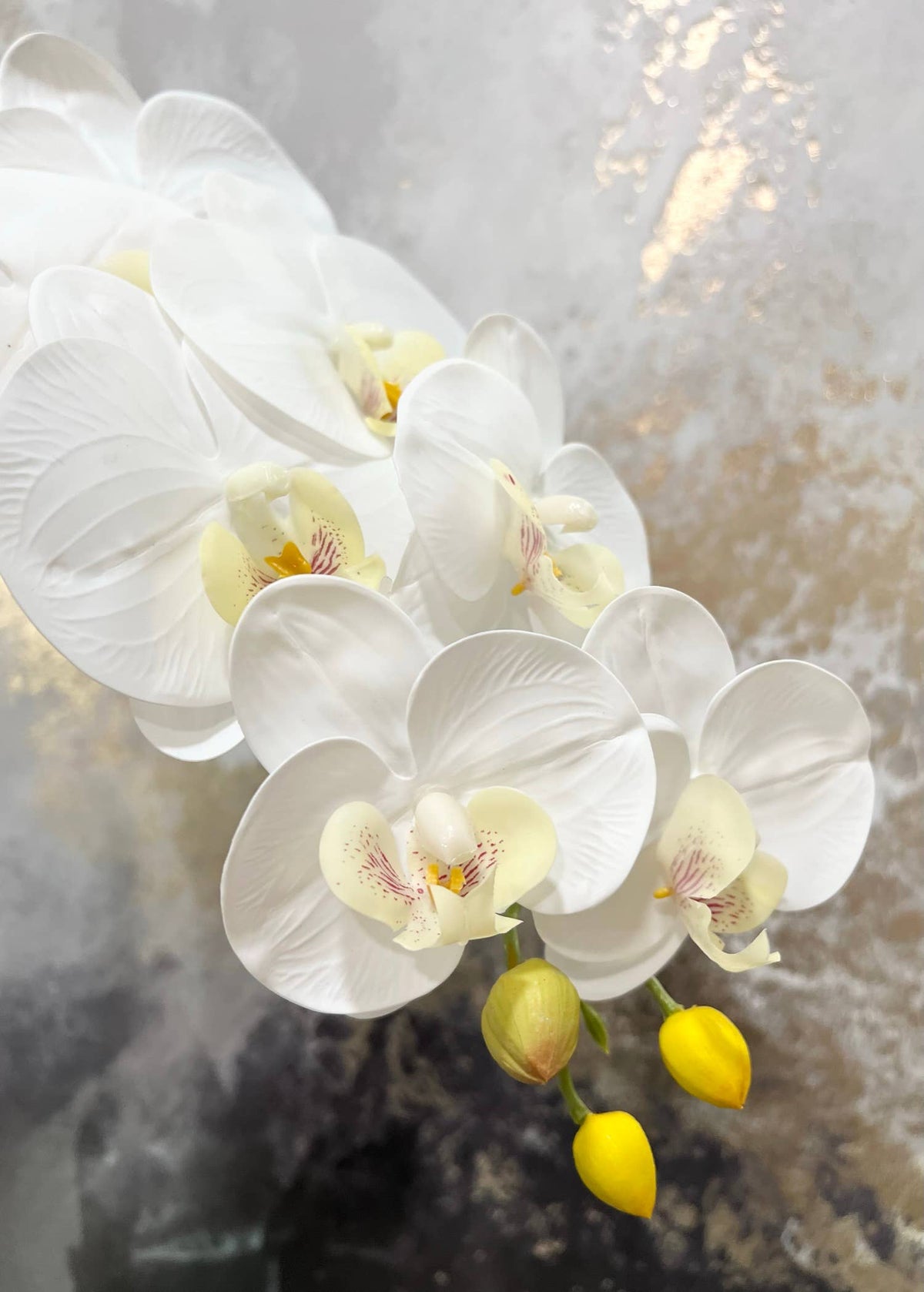 36" Real touch Large bloom Phalaenopsis Orchid-9 Flowers