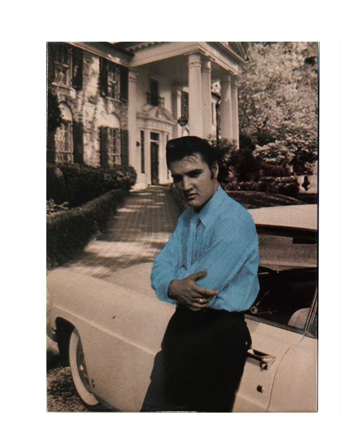 Elvis Magnet