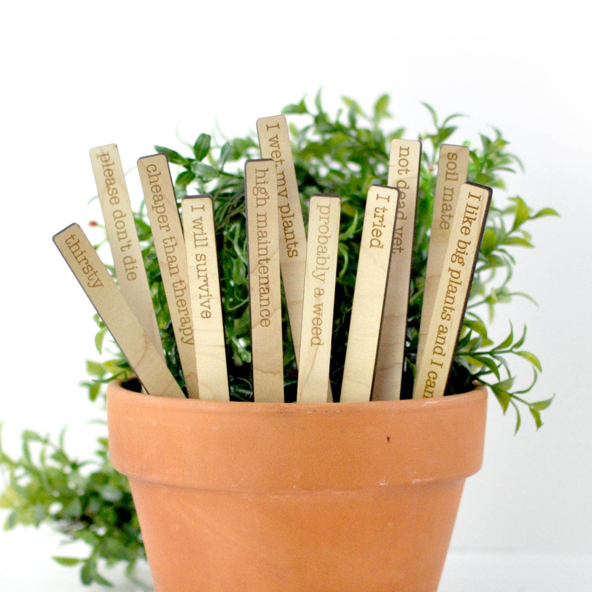 Punny Plant Markers - Spring and Summer Garden and Plants: