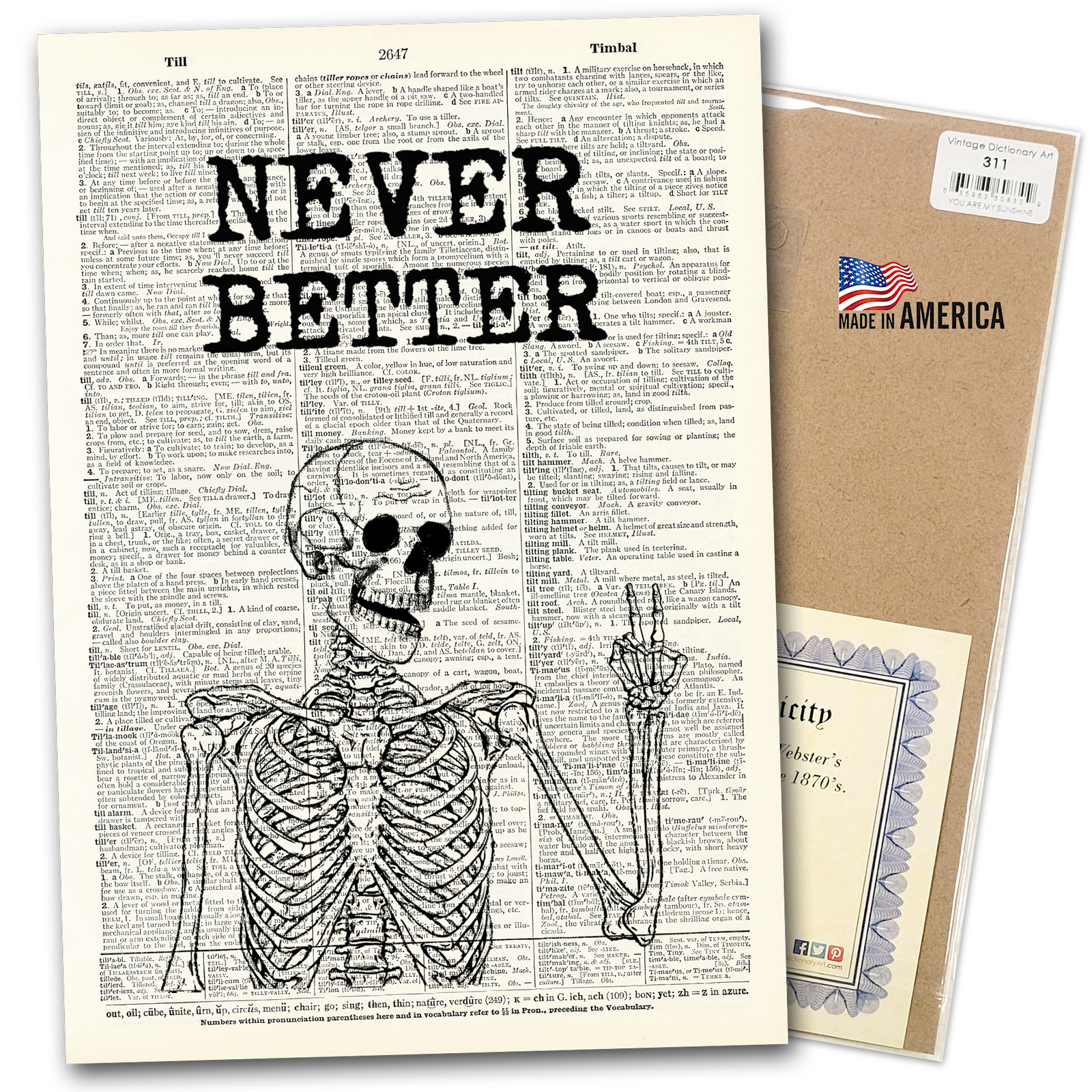 Art Print | Dictionary Page | Vintage | Never Better