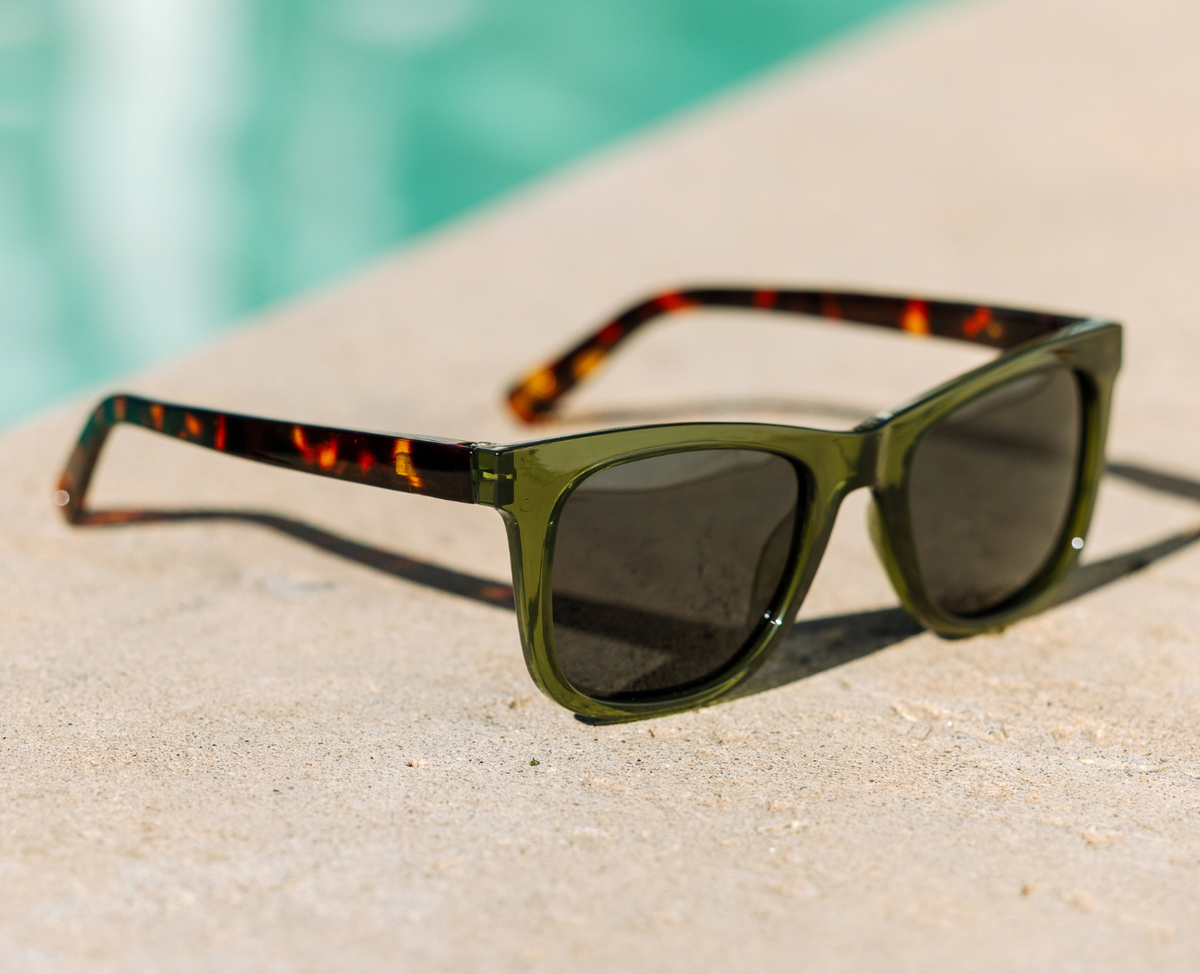 Harbor (Sunglasses)