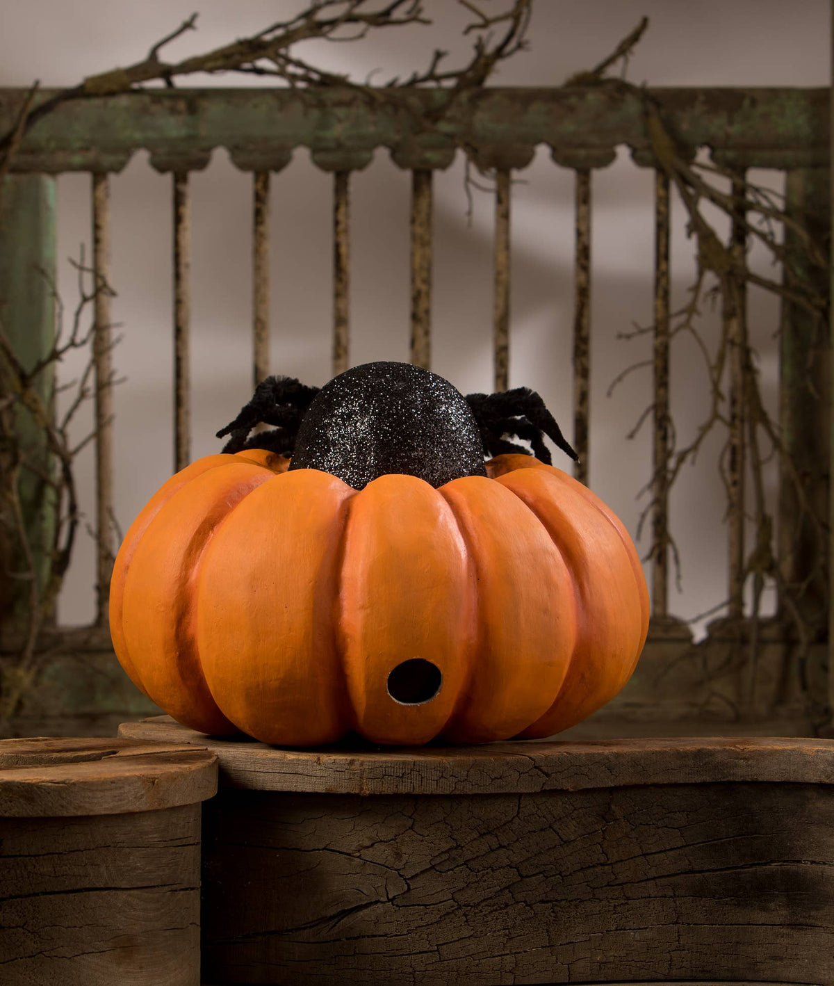 Spider on Pumpkin Jol