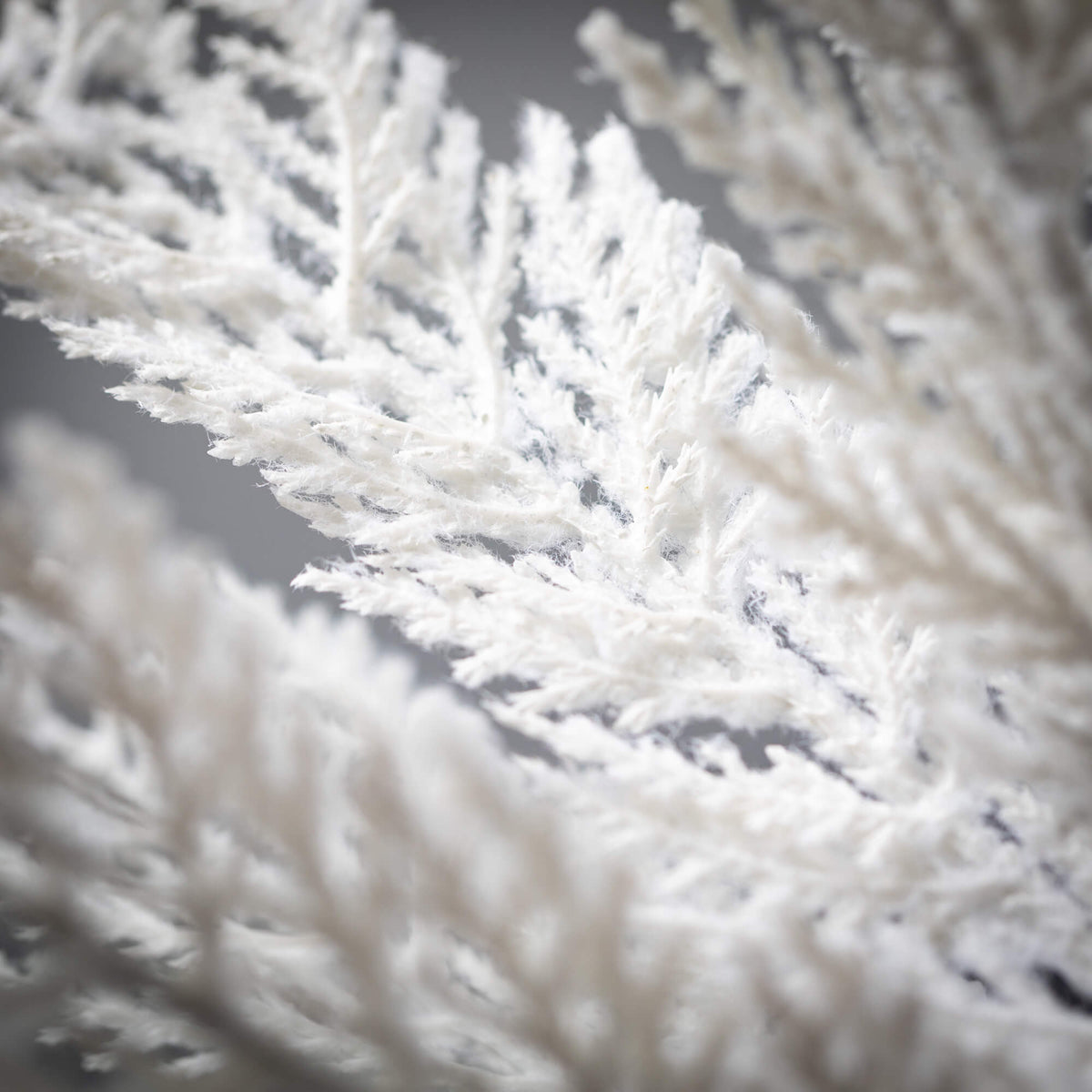 WHITE CYPRESS WREATH