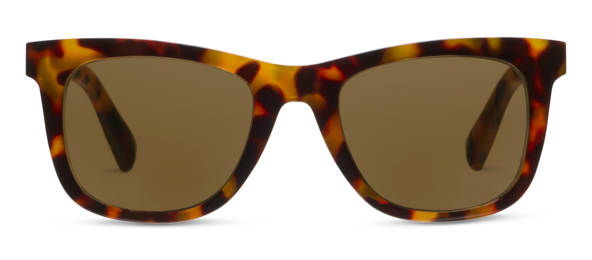 Harbor (Sunglasses)