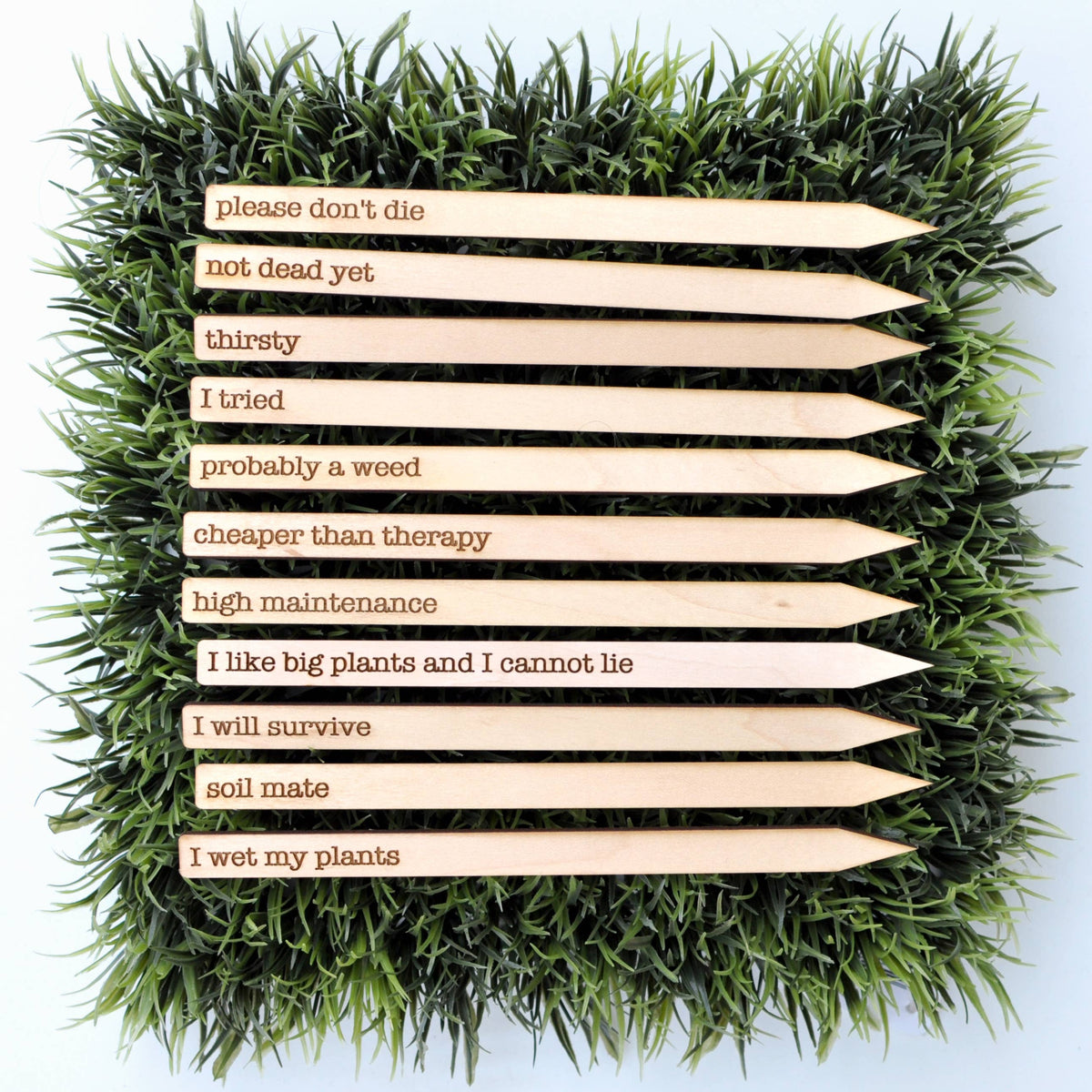 Punny Plant Markers - Spring and Summer Garden and Plants: