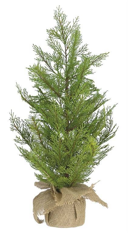 Mixed Cedar &amp; Pine Tree in, Burlap Bag, 24", Green