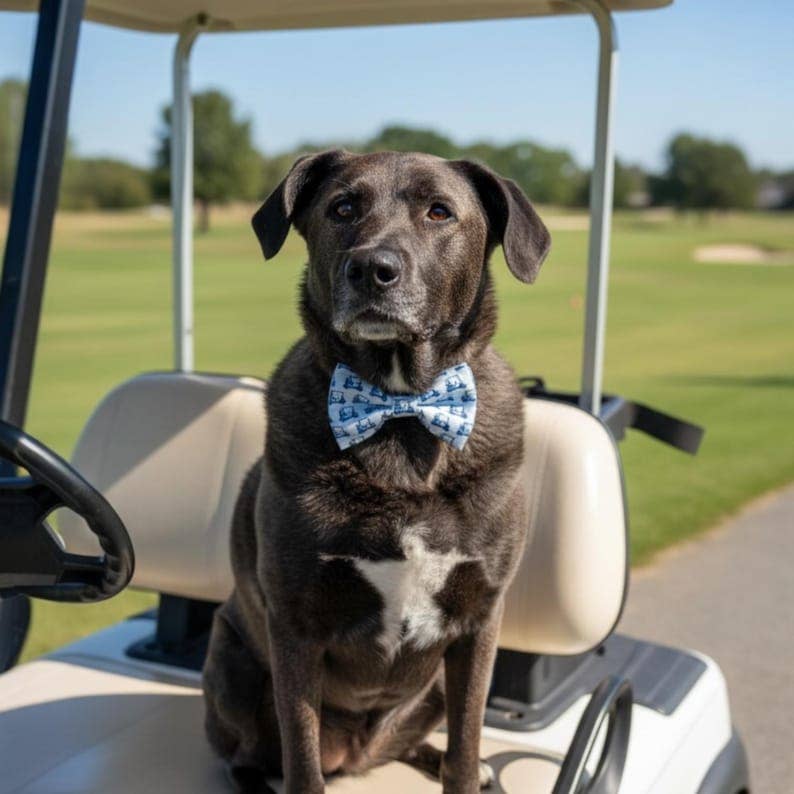 Golf Cart Dog Bow Tie, Golf Dog Collar Bow, Golfer Gift, Handmade