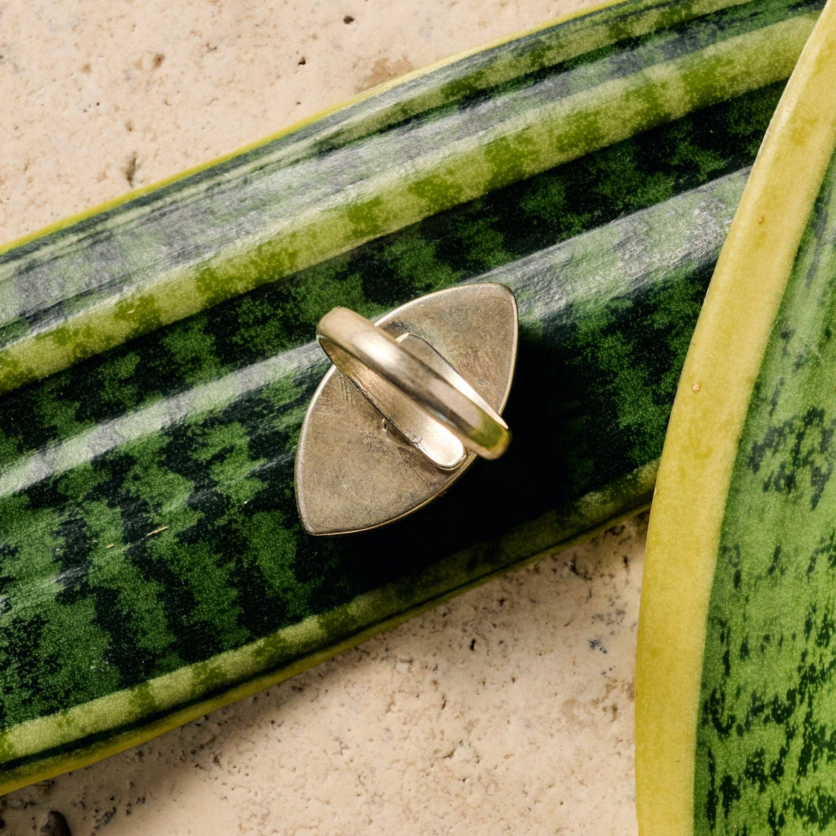 Amkha Silver &amp; Turquoise Ring