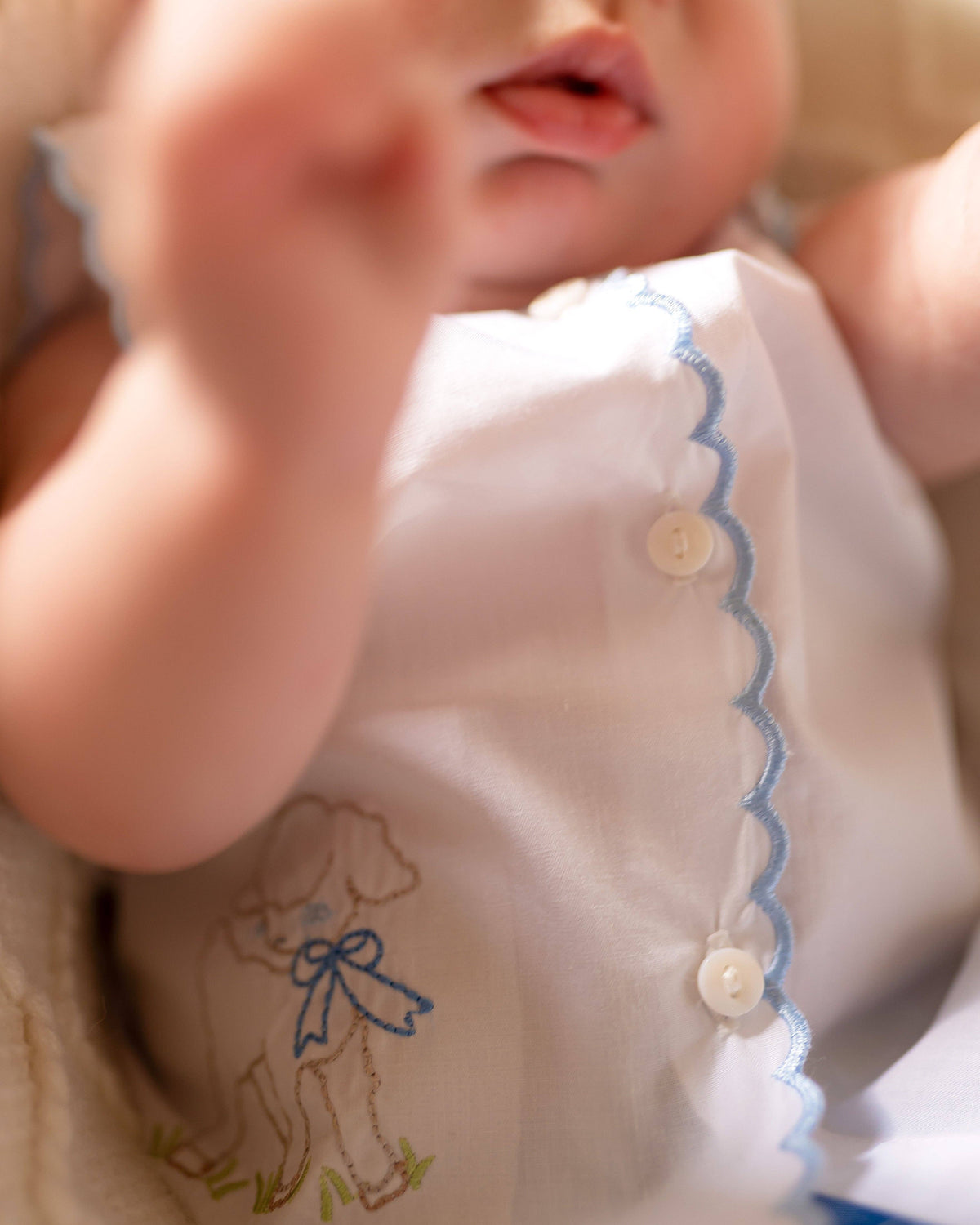 Diaper Cover Set: Blue Lamb: 3m