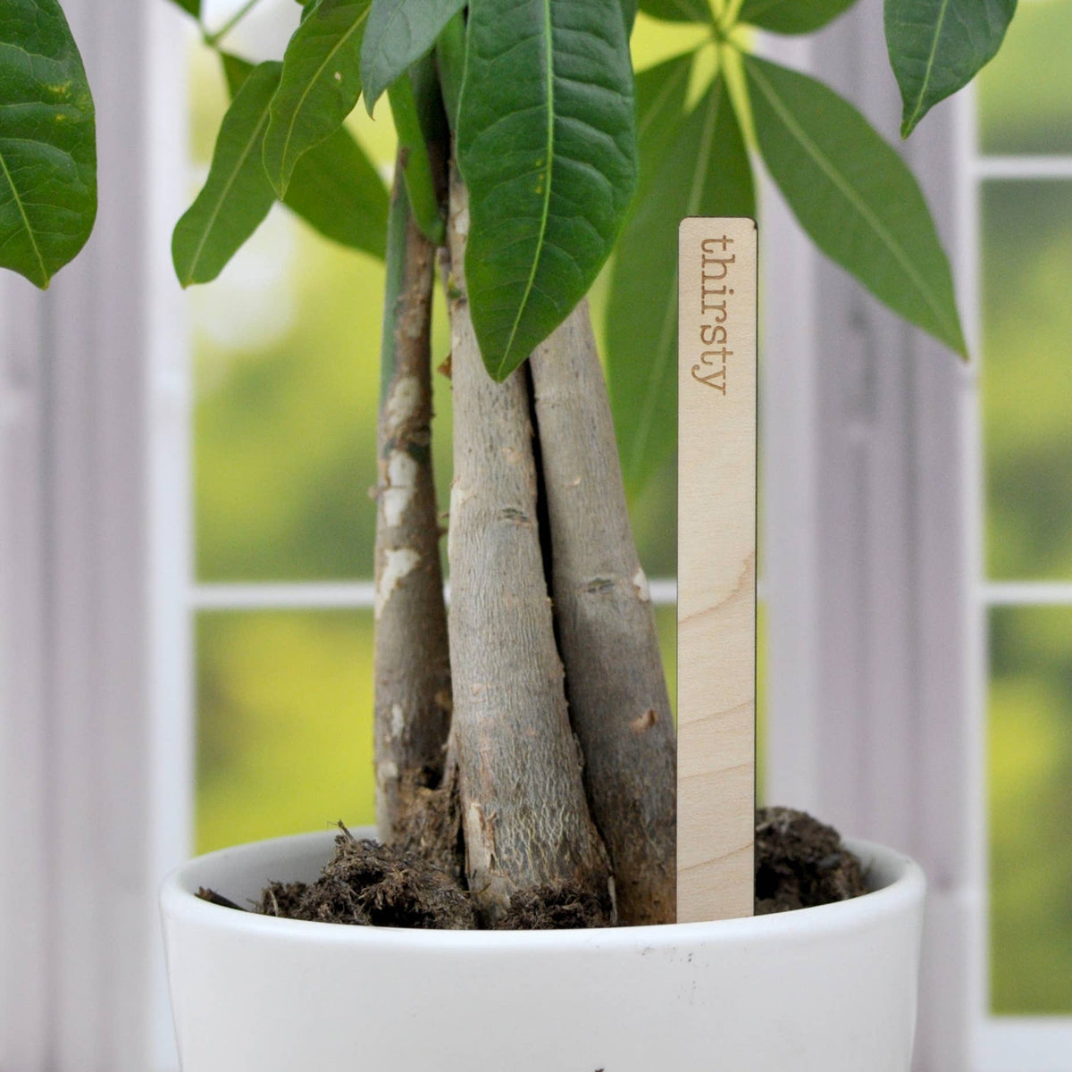 Punny Plant Markers - Spring and Summer Garden and Plants: