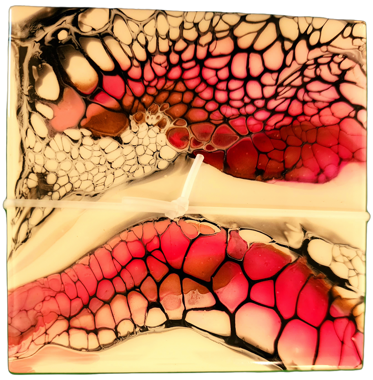 Coasters (Multiple Colors) by Local Memphis Artist Sandra Barrett