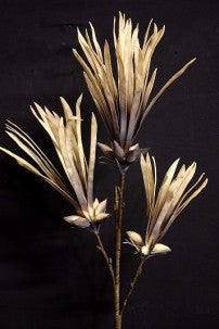 Fawn Foam Flower 42"