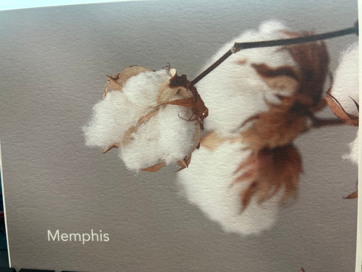 "Memphis Cotton" Photographed Card by Karen Pulfer Focht