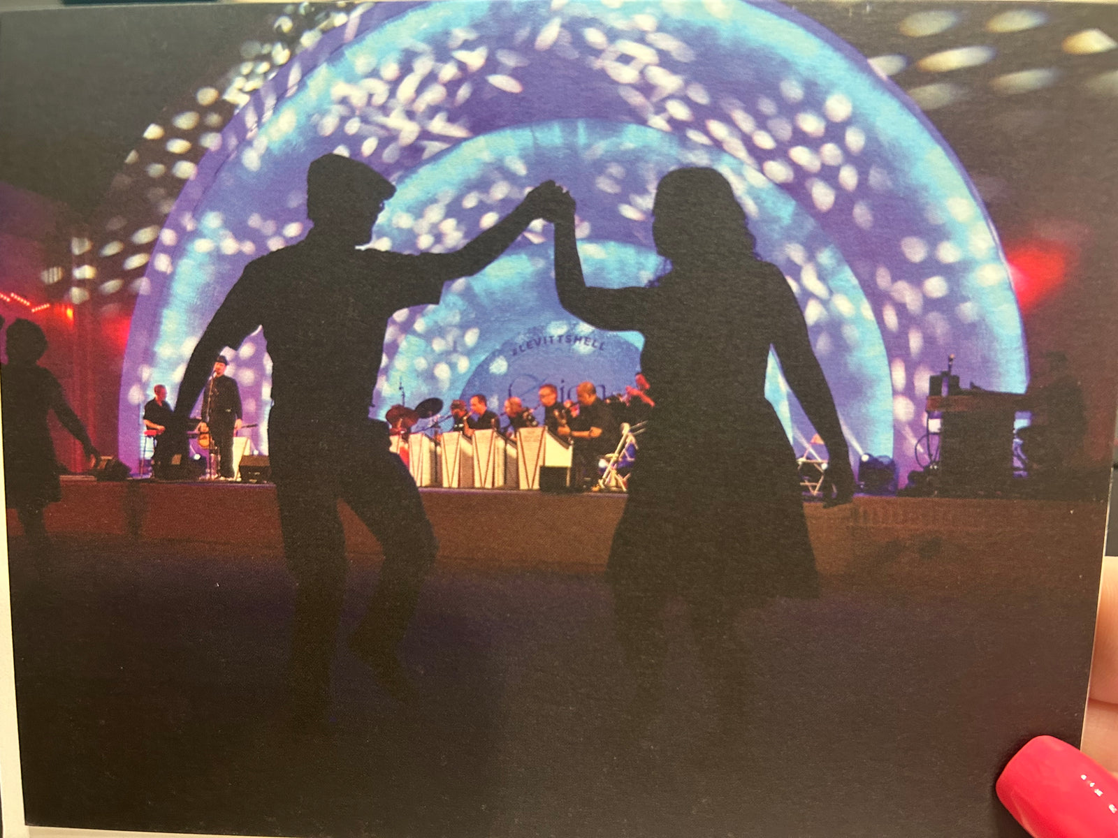 "Swingers" Greeting Card by Local Karen Pulfer Focht