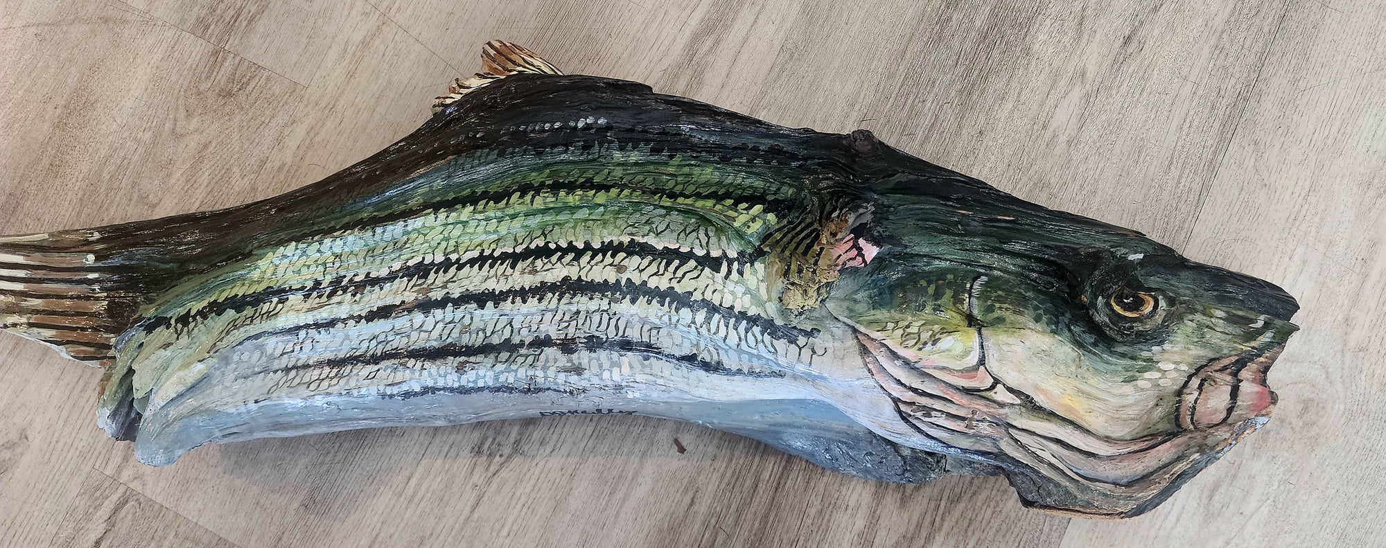 26" x 8" high, Striped bass painted Mississippi River Driftwood by DJ Kelly, Memphis Artist