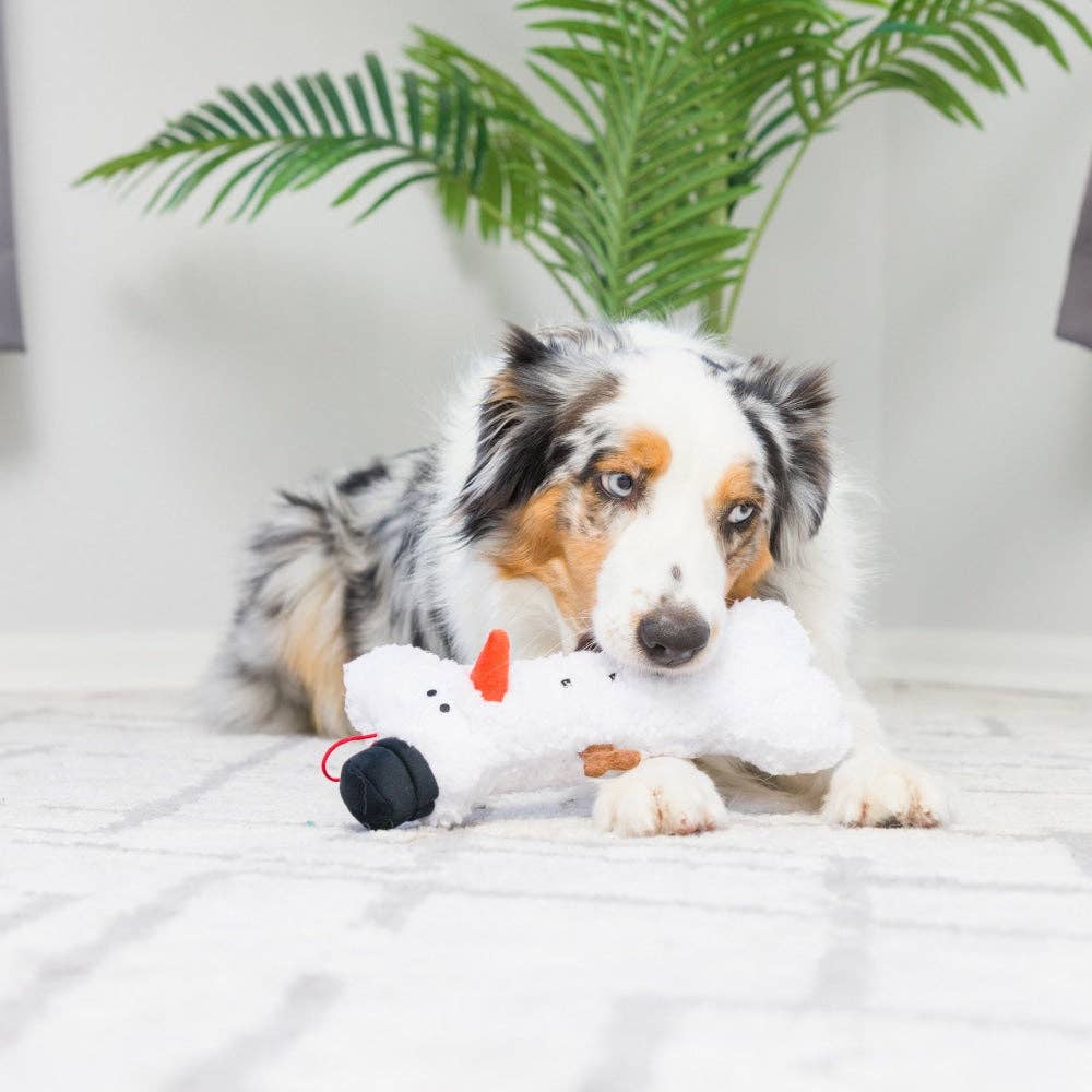 Snowman Bone For Dogs: One Size