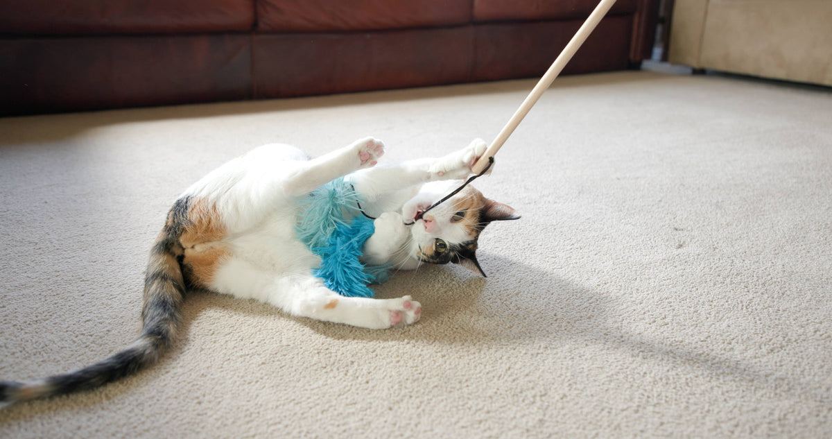 HuggleKats® Magic Wand Cat Toy